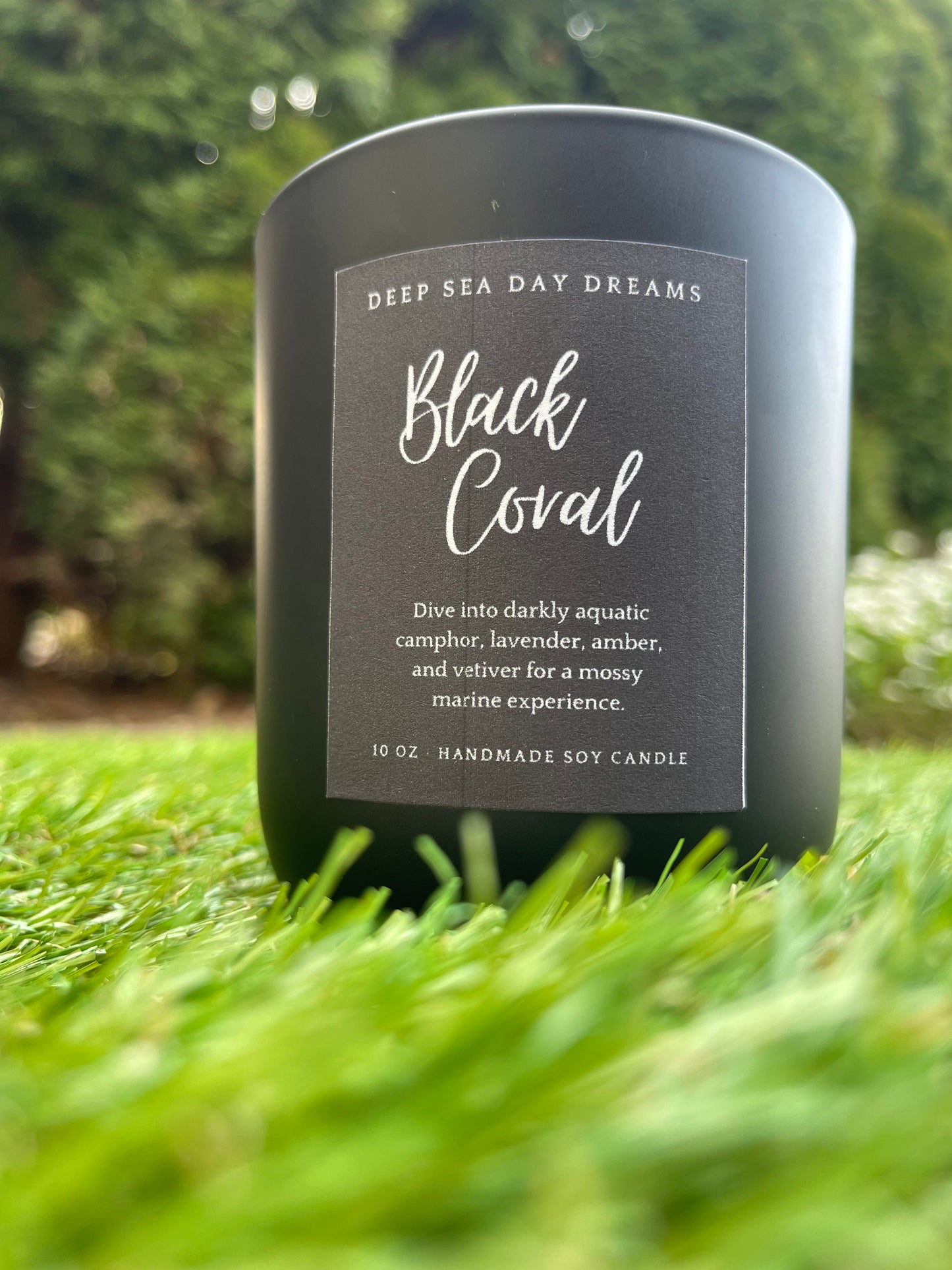 Black Coral | 10 oz Soy Candle