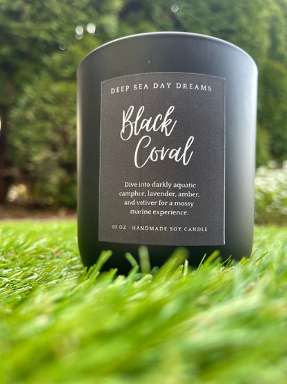 Black Coral | 10 oz Soy Candle
