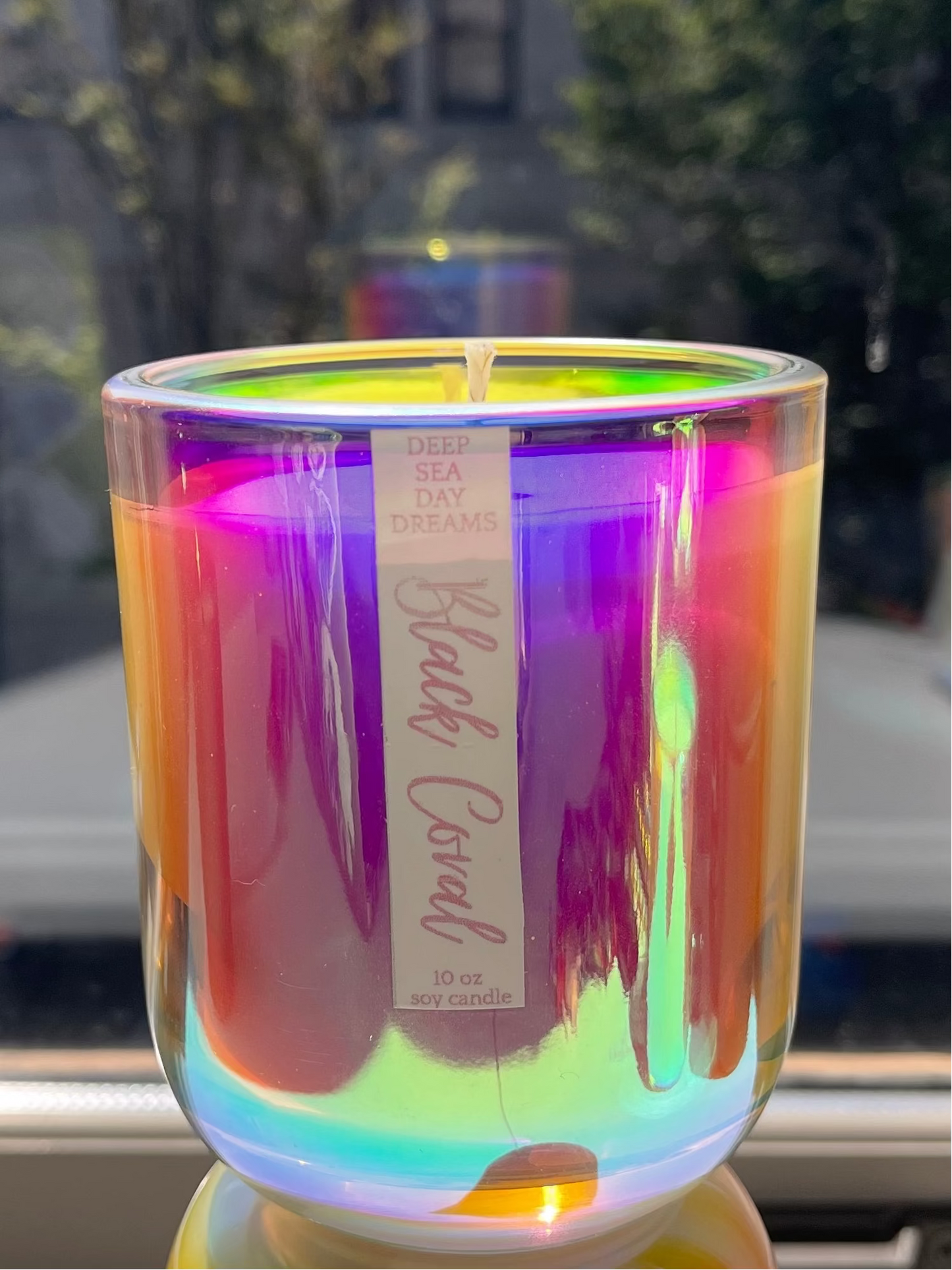 Black Coral | 10 oz Soy Candle