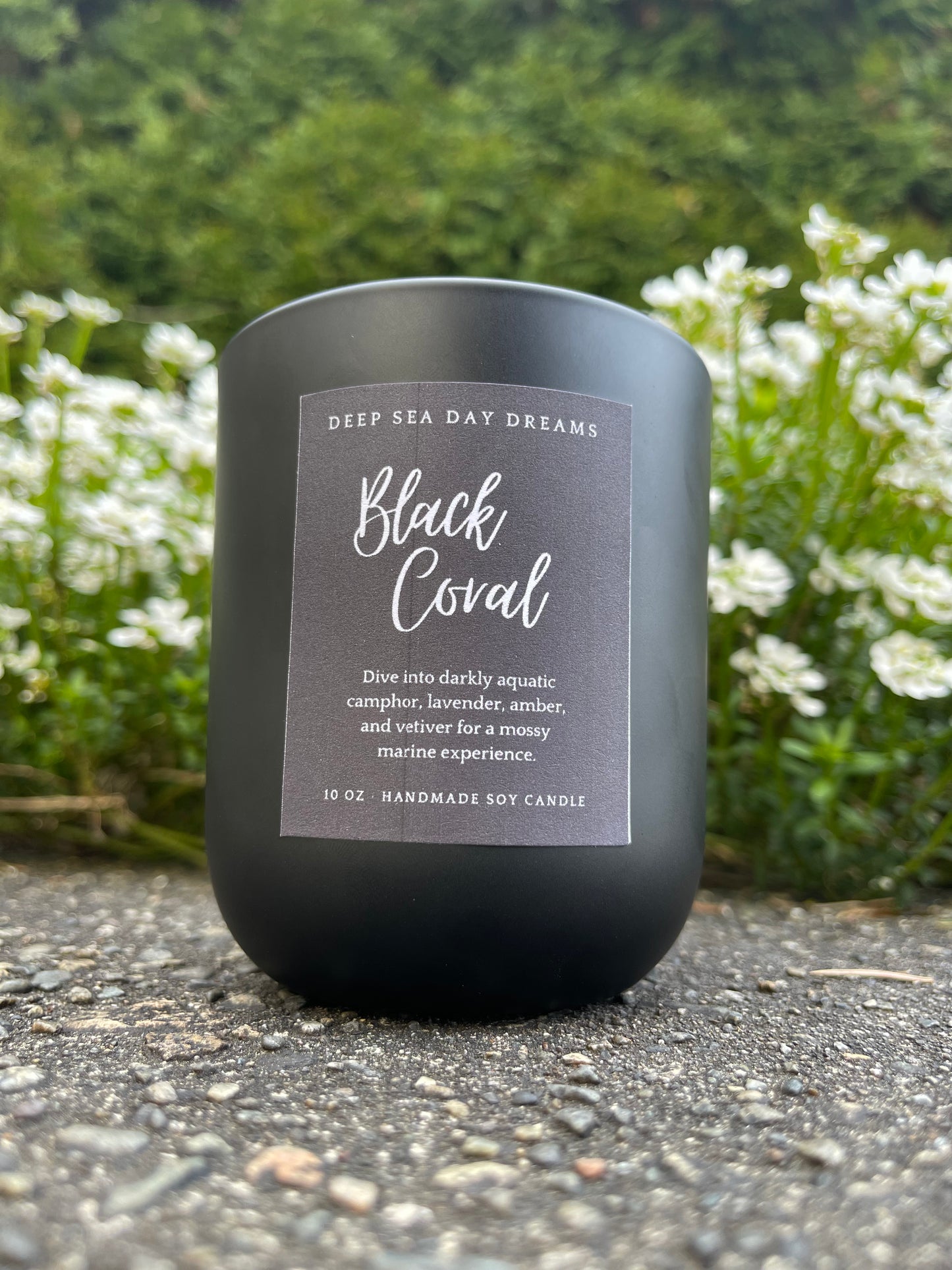Black Coral | 10 oz Soy Candle