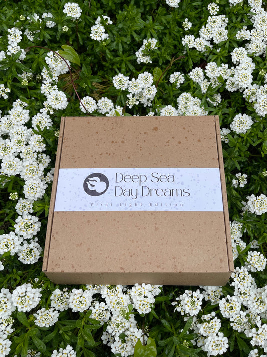 The First Light Edition